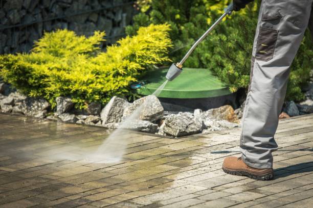 Animal Enclosure Cleaning in Anna, TX